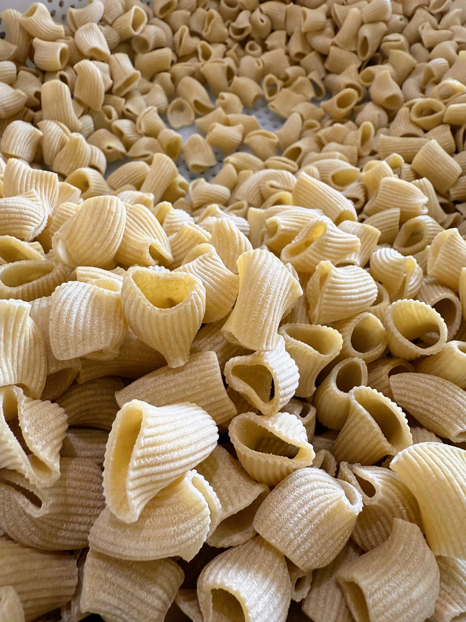 Dried Pasta- Organic