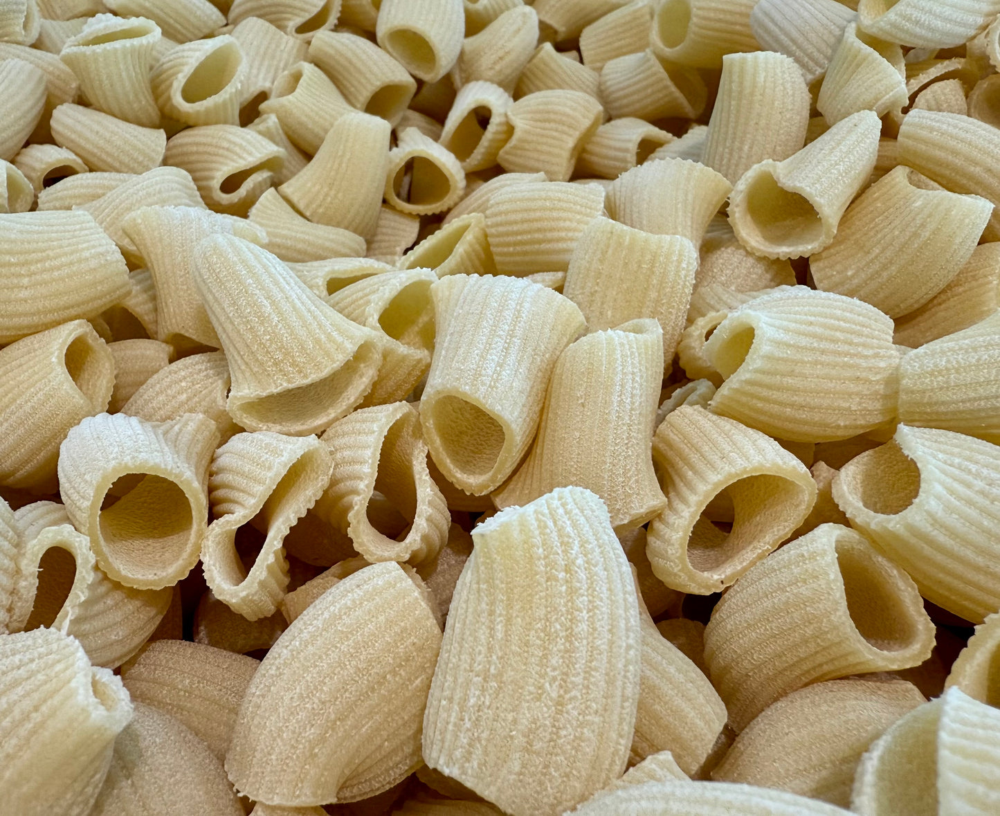 Rigatoni